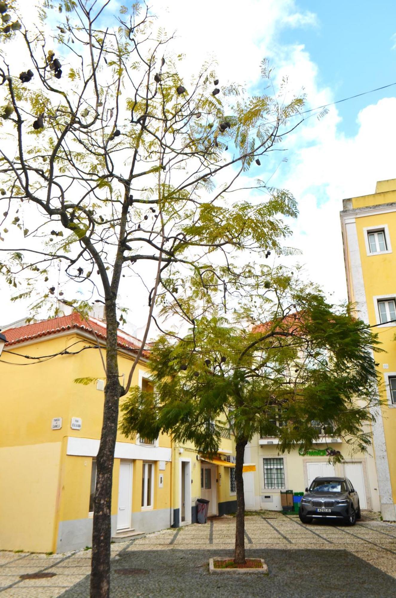 Rooms Dp Setubal Exterior photo